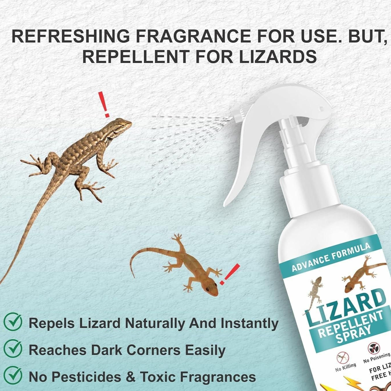remedy book usa